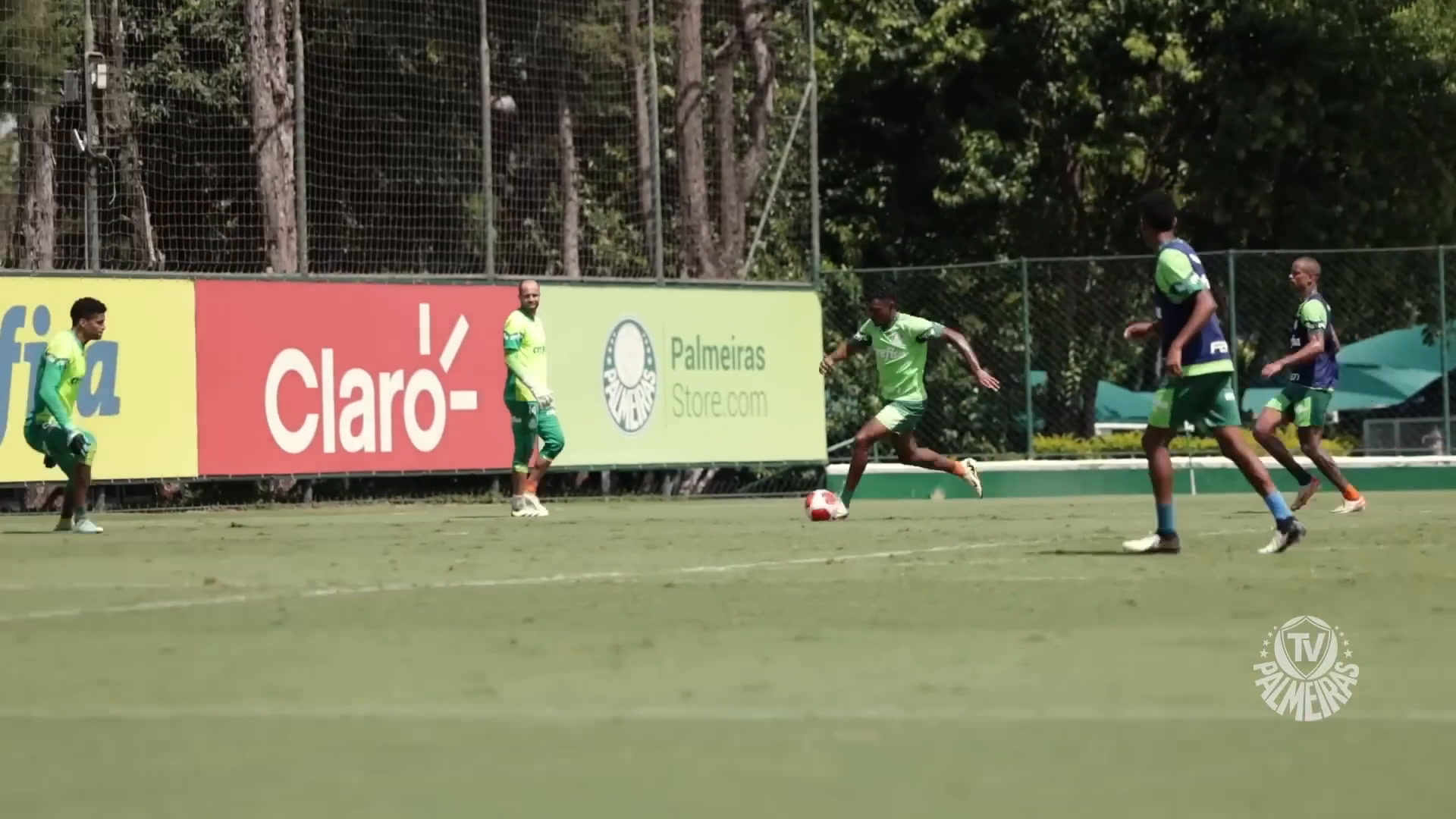 Treino do Palmeiras destaca Caneta de Luan e golaços das Crias da Academia