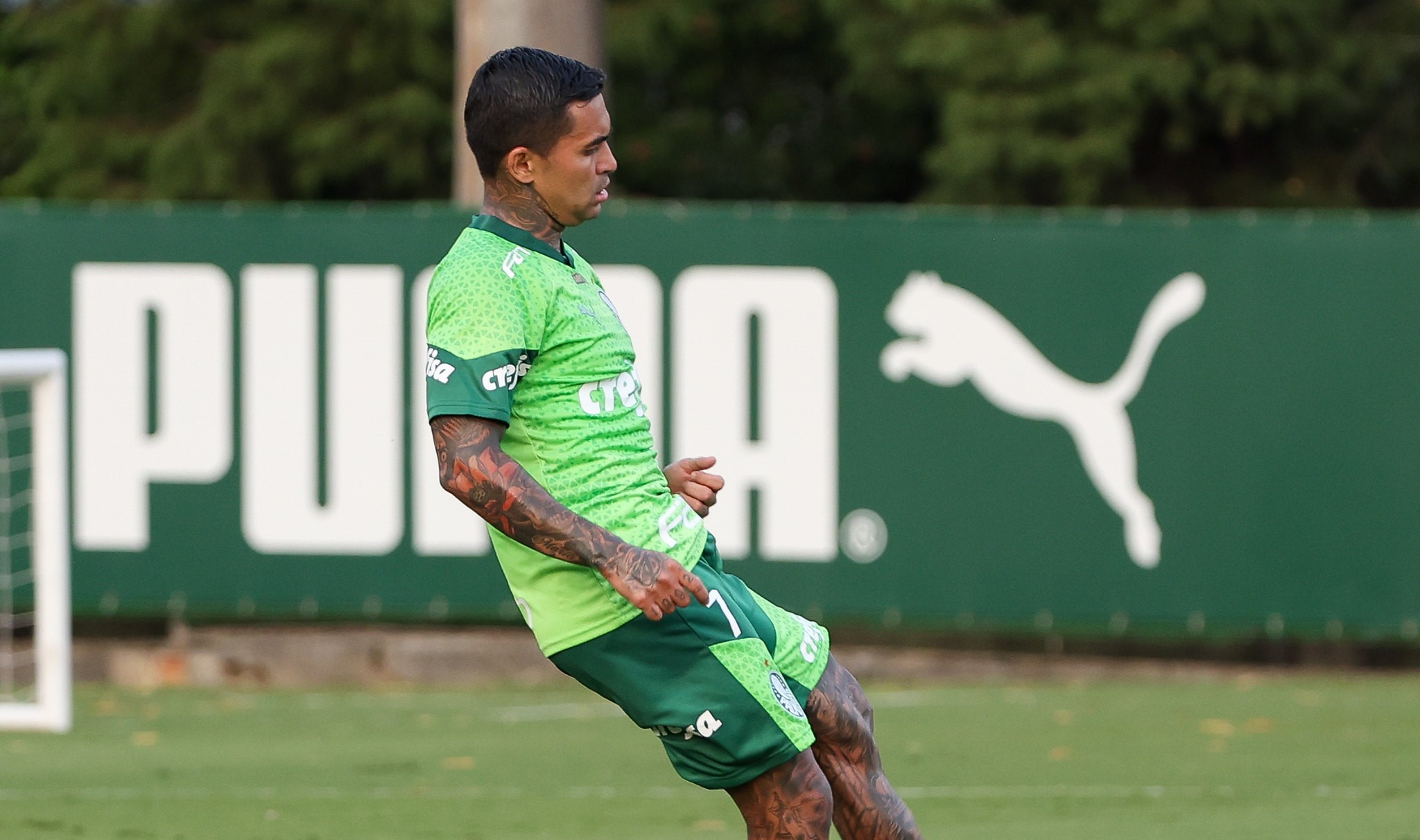 Palmeiras se prepara para final do Paulistão após estreia na Libertadores
