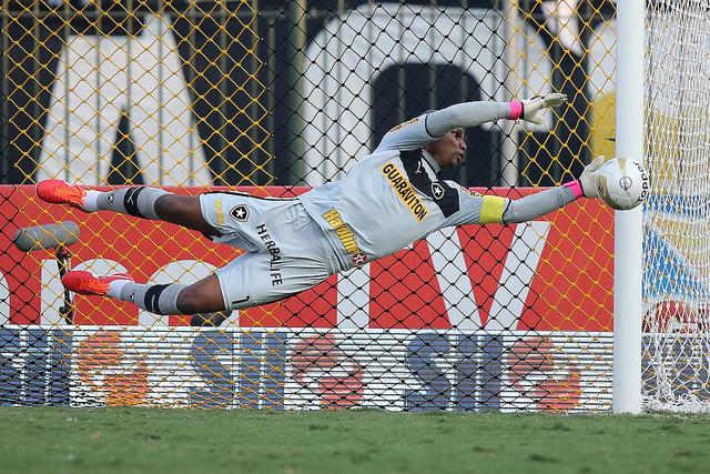 O goleiro Jefferson ainda não treinou com Botafogo após sua renovação (Foto: Satiro Sodré)