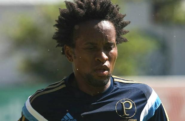 Zé Roberto reclamou de dores na coxa direita no último domingo e precisou ser substituído (Foto: Cesar Greco/Ag Palmeiras)