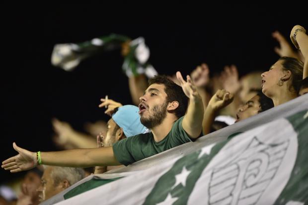 Torcida do Palmeiras encherá o seu setor na decisão de domingo, na Vila Belmiro