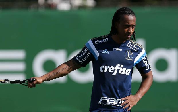 Arouca acredita que Seleção precisa evoluir (Foto: César Greco/Ag. Palmeiras)