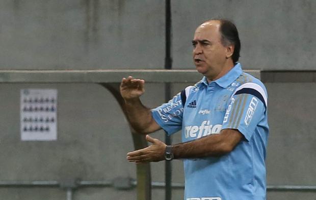 Time do técnico Marcelo Oliveira treinou no Recife antes de embarcar para São Paulo (Foto: Cesar Greco/Ag Palmeiras)