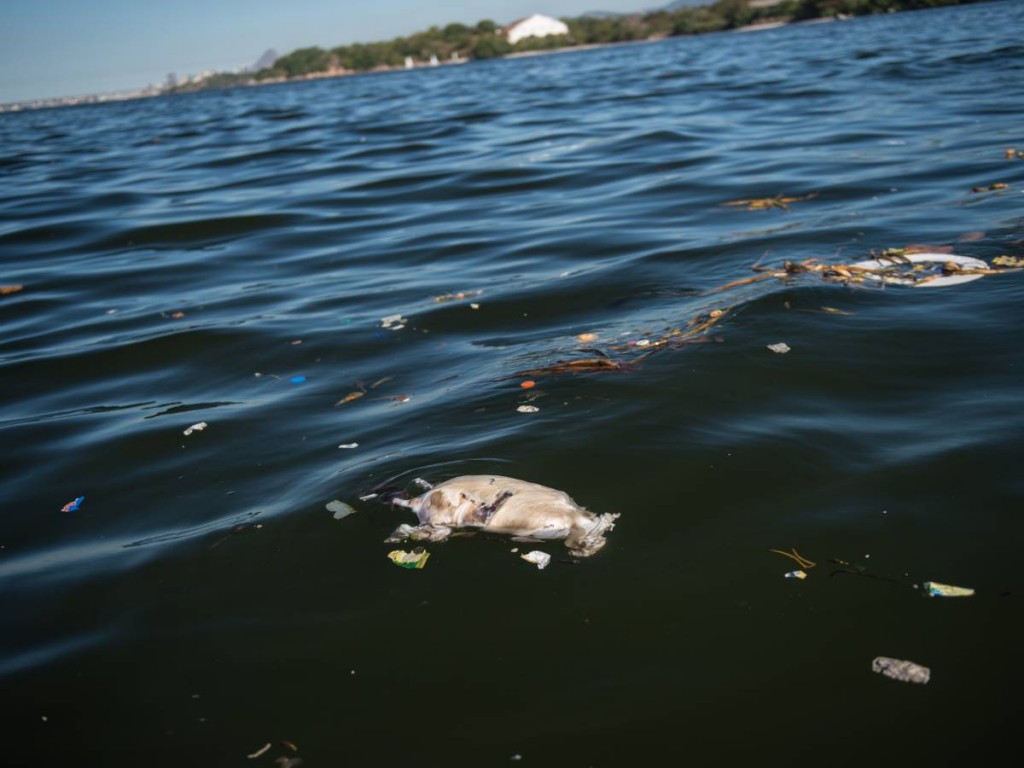 Baía de Guanabara pode oferecer risco sério à saúde de 1400 atletas (Foto: Yasuyoshi Chiba/AFP)