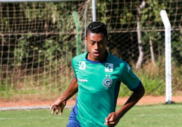 Imagem ilustrativa para a matéria