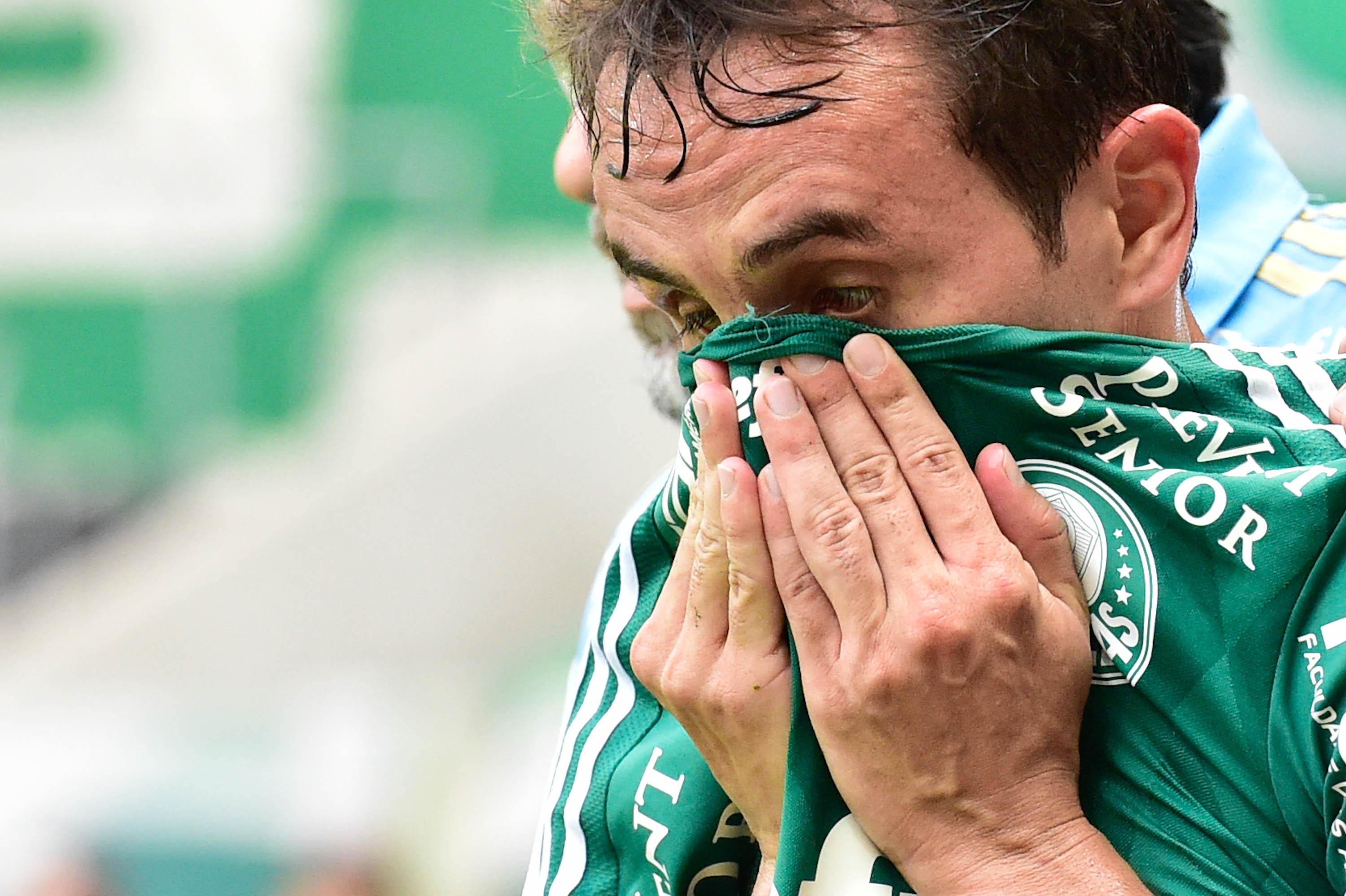 Imagem ilustrativa para a matéria