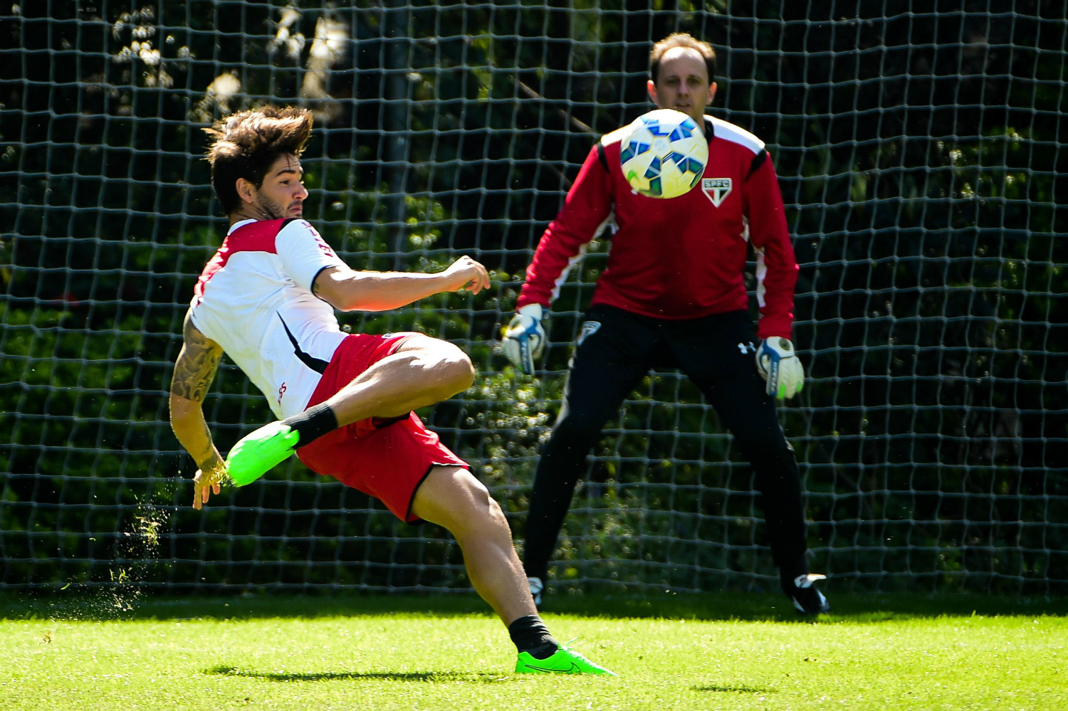 Imagem ilustrativa para a matéria