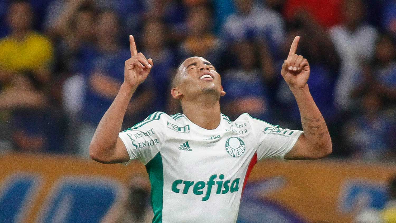 Imagem ilustrativa para a matéria