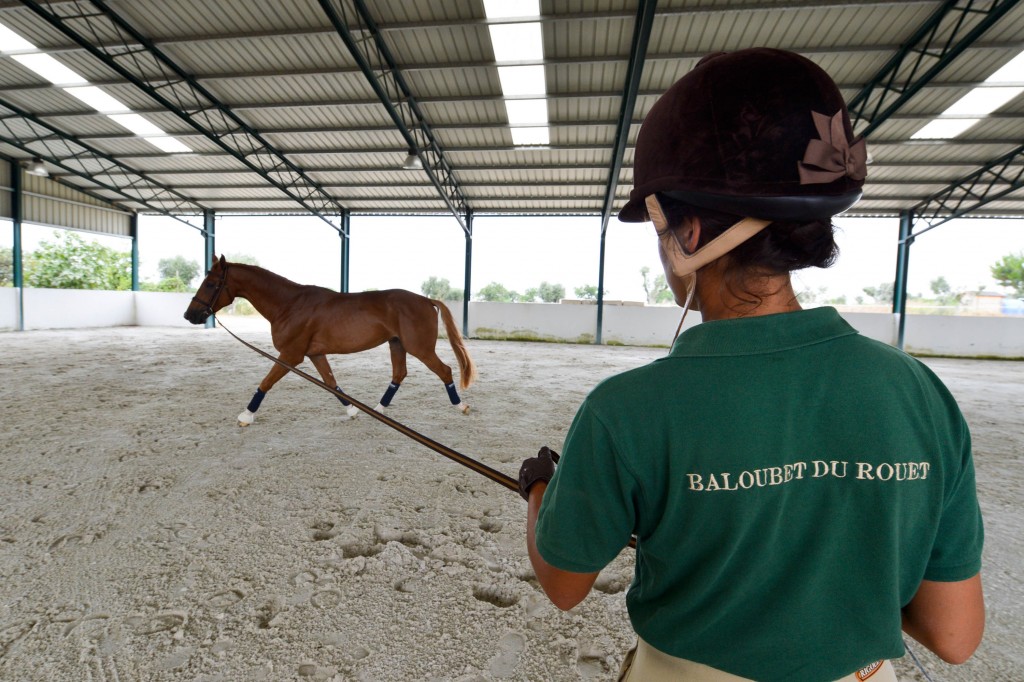 Cherribalou é o filho mais promissor do campeão Baloubet (Foto: Fernando Dantas/Gazeta Press)