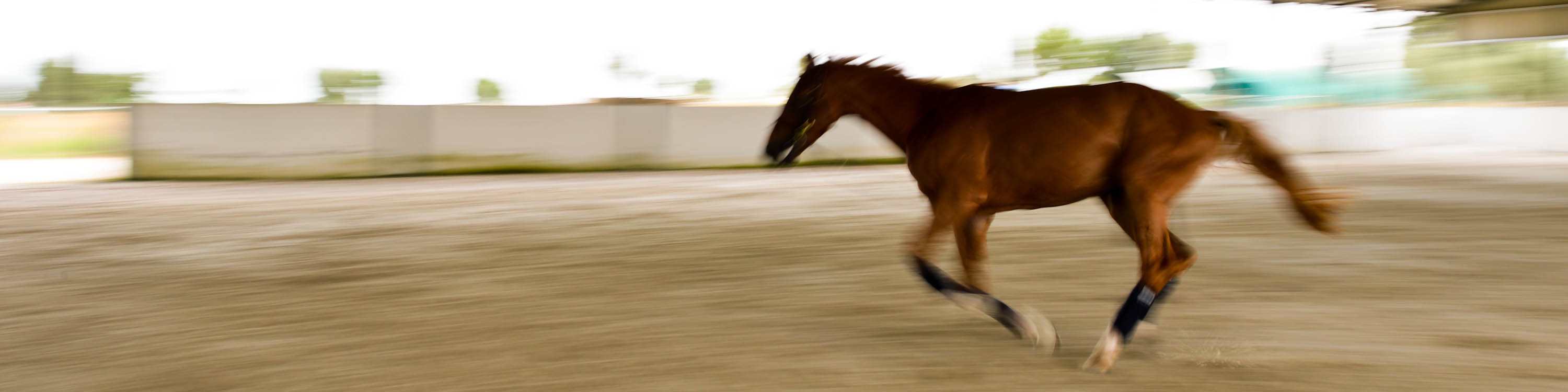Sharapova excêntrica e filho mimado são esperanças no salto. (Foto: Fernando Dantas/Gazeta Press)