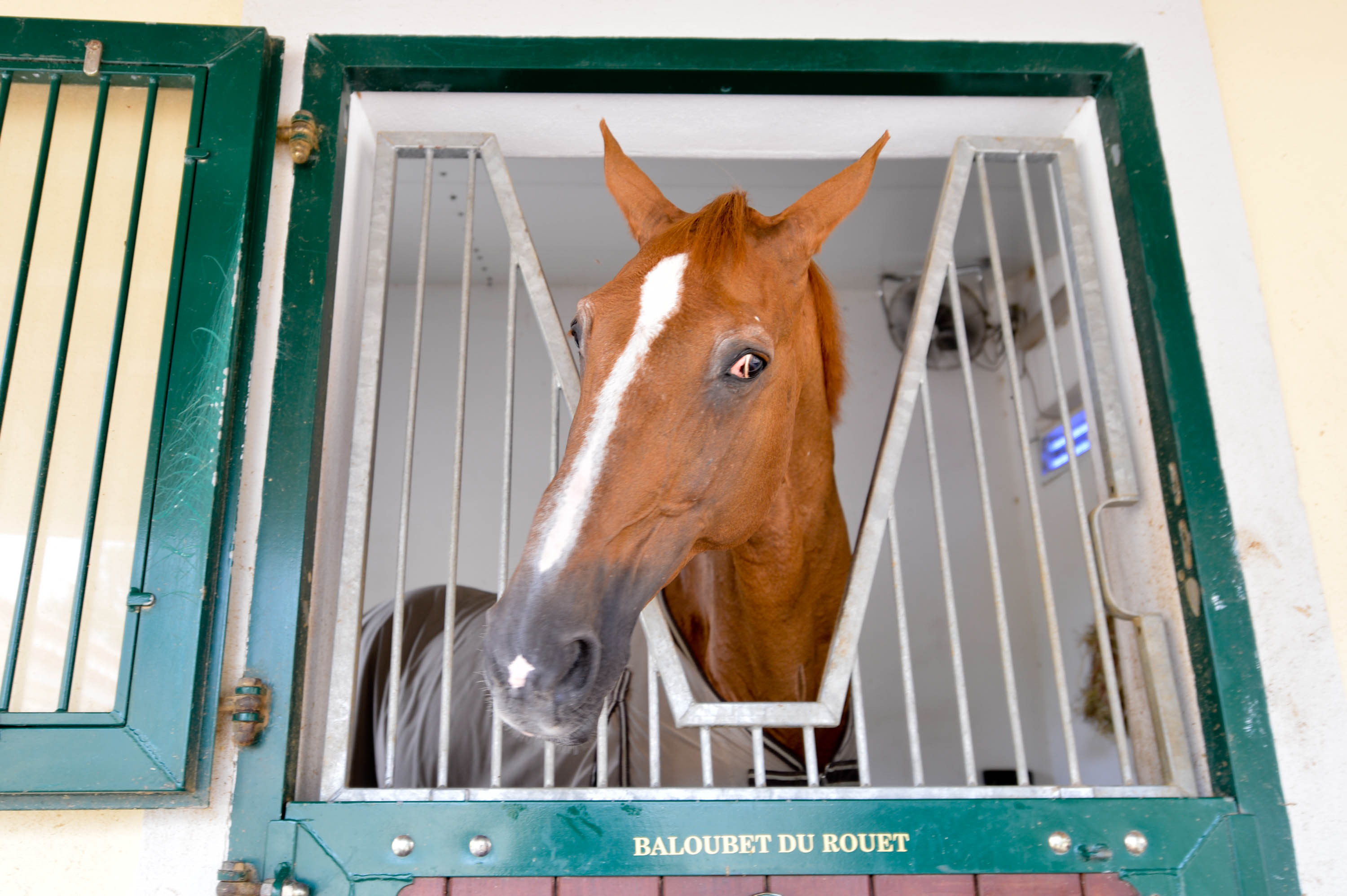 Mestre em Letras se diverte com popularização do verbo “refugar”. (Foto: Fernando Dantas/Gazeta Press)
