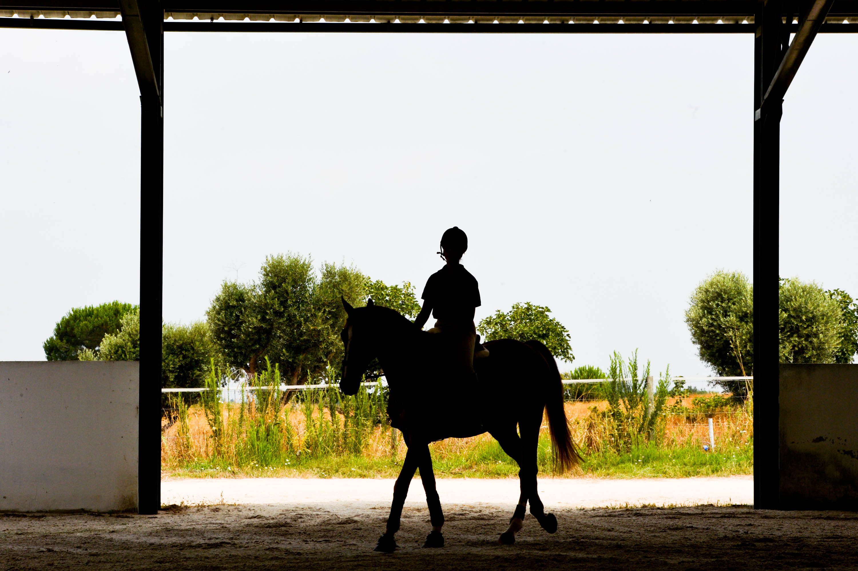 Dona de Baloubet culpa Pessoa por refugadas; especialista discorda. (Foto: Fernando Dantas/Gazeta Press)