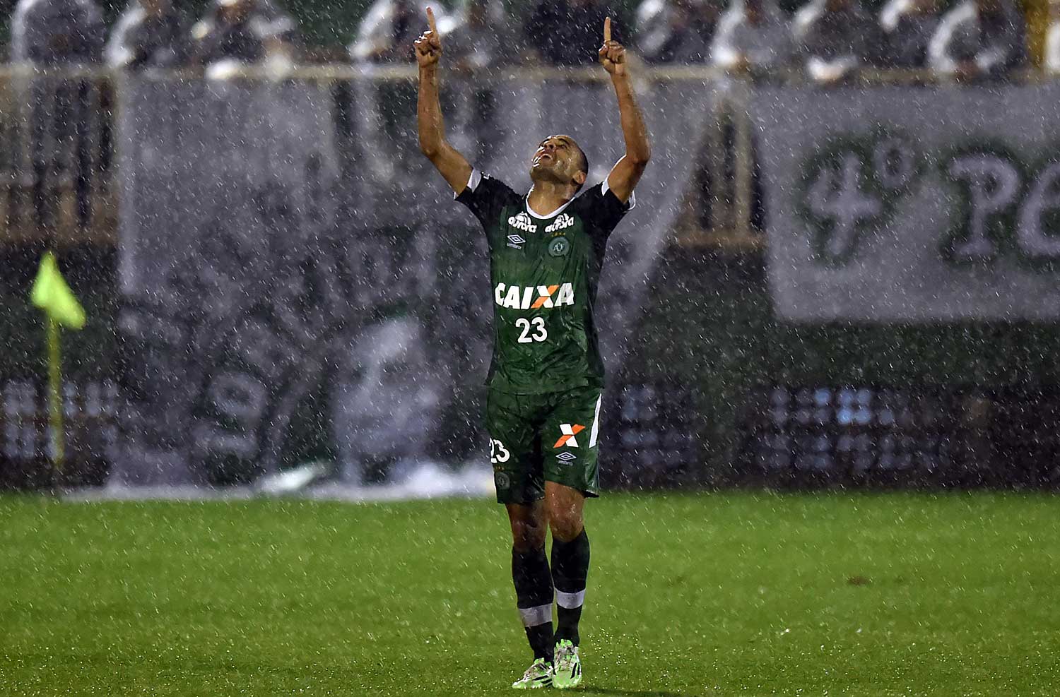 Imagem ilustrativa para a matéria