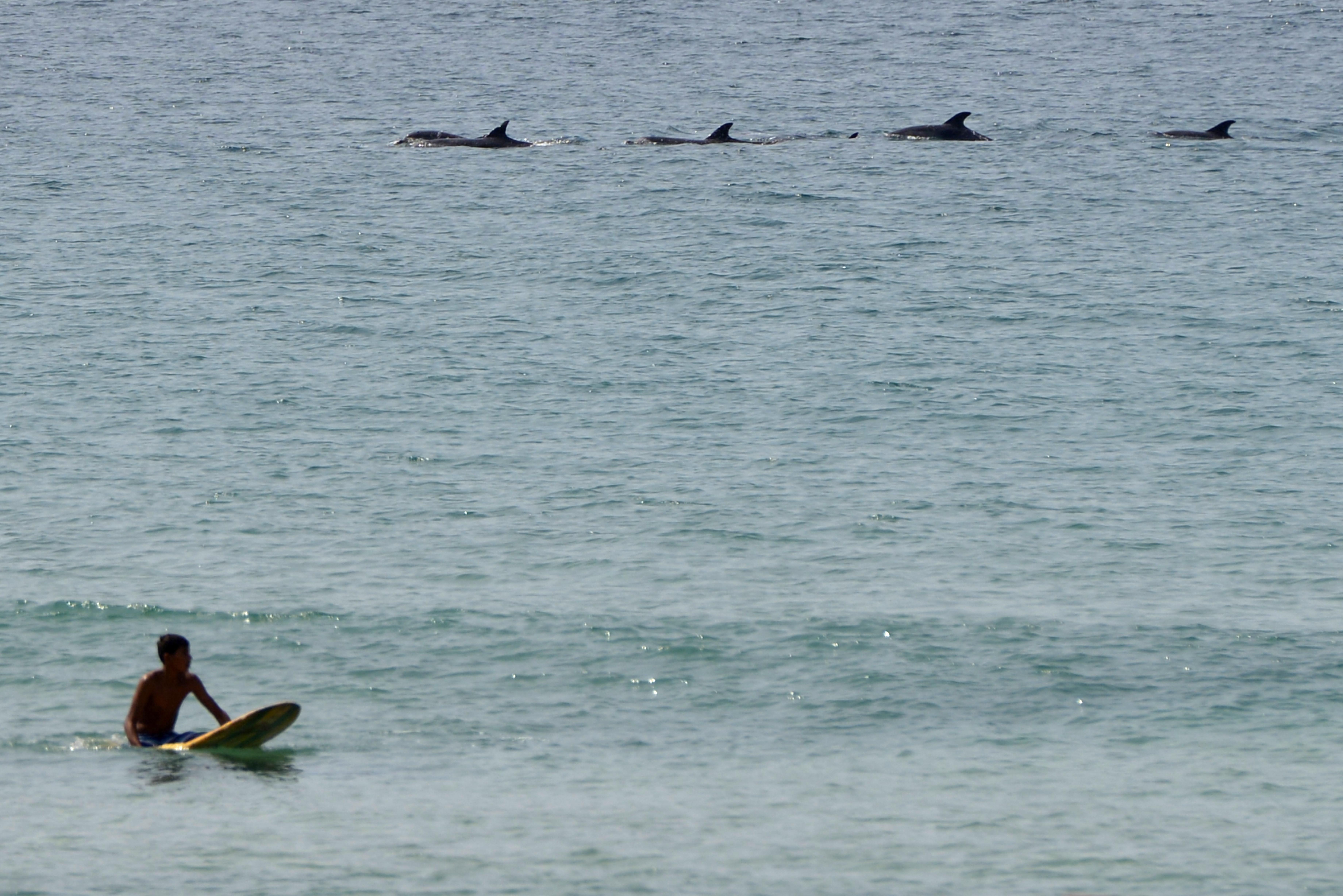 Ondas de Maresias e Paúba moldaram primeiro brasileiro campeão mundial. Foto: Sergio Barzaghi/Gazeta Press