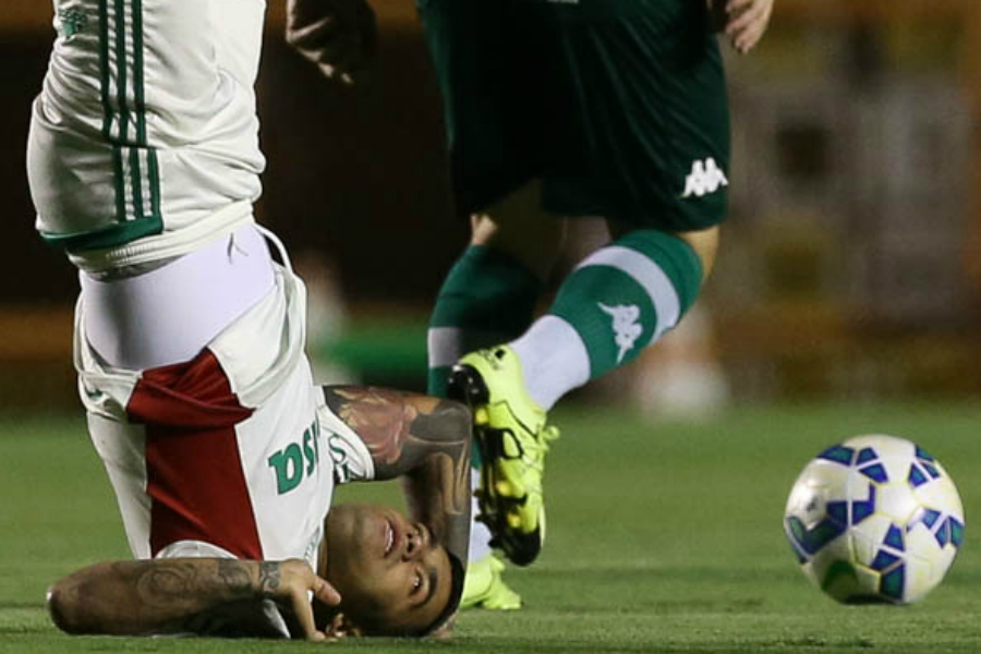 O Palmeiras de Dudu saiu da quarta colocação e viu o Goiás deixar a zona de rebaixamento (Foto: Cesar Greco/Ag Palmeiras/Divulgação)