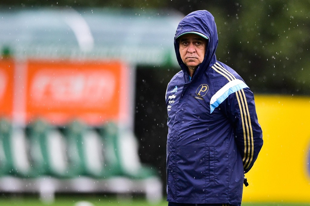 Técnico já venceu São Paulo e Santos e busca regularidade (Foto: Fernando Dantas/Gazeta Press)