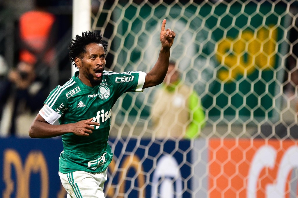 Zé Roberto cobrou o pênalti que definiu a vitória do Palmeiras sobre o Figueirense (Foto: Fernando Dantas/Gazeta Press)