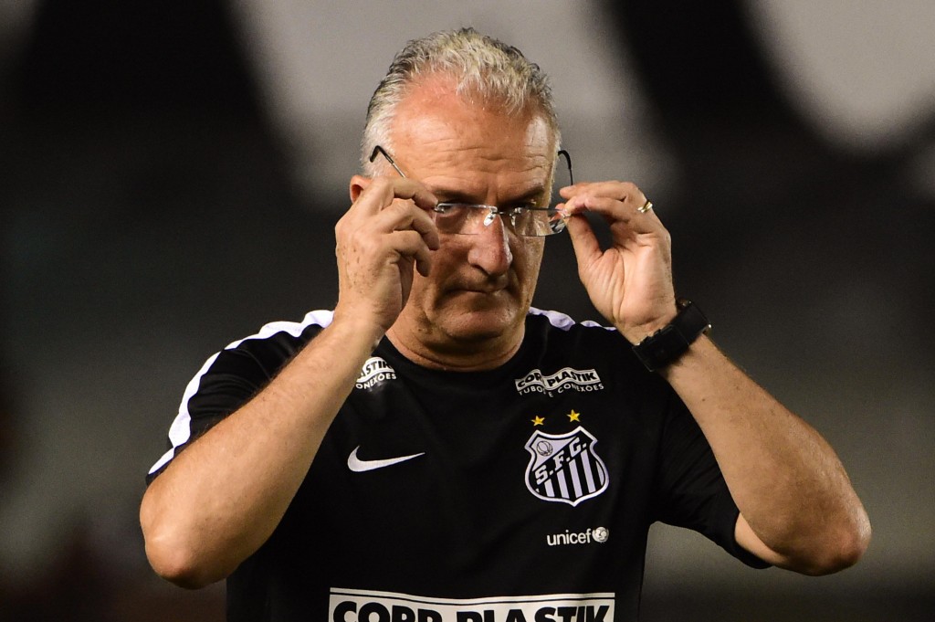 Desempenho do Santos surpreendeu até mesmo o técnico Dorival Júnior (Foto: Djalma Vassão/Gazeta Press)