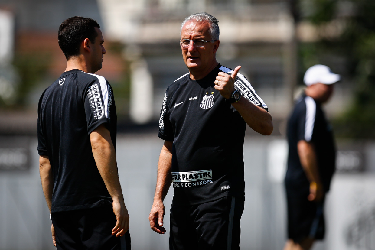 Dorival não poderá escalar os suspensos Ricardo Oliveira e David Braz (foto: Santos/divulgação)