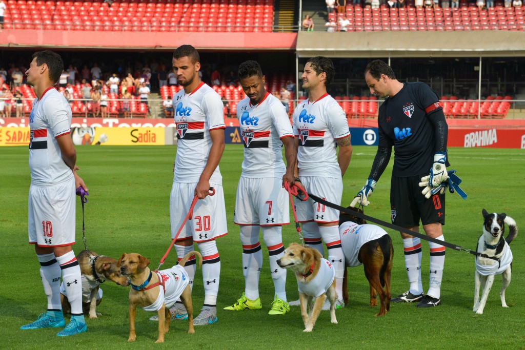 O São Paulo fez campanha para estimular a adoção de cães no clássico com o Palmeiras (Foto: Fernando Dantas/Gazeta Press)