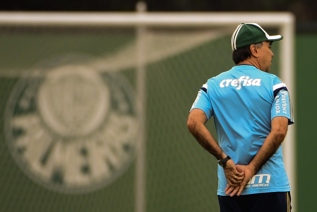 Técnico quer time focado na vaga na Libertadores (Foto: Djalma Vassão/Gazeta Press)