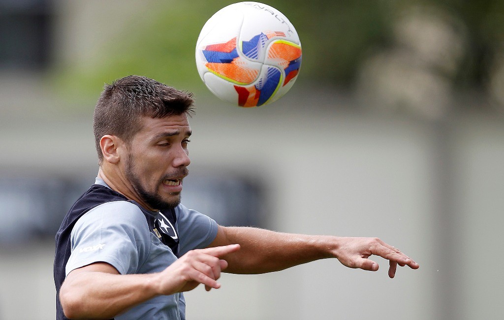 O polivalenta zagueiro Diego Giaretta celebrou o tempo livre para a equipe treinar (Foto: divulgação/Botafogo)