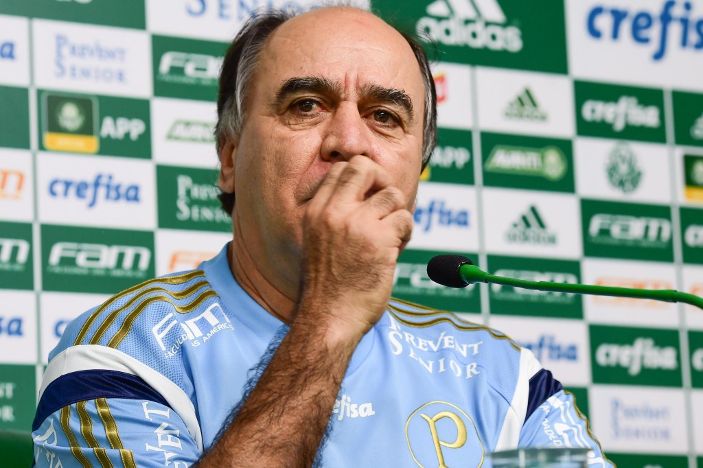 Técnico fala demias e acaba "soltando" a renovação de Zé Roberto (Foto: Djalma Vassão/Gazeta Press)