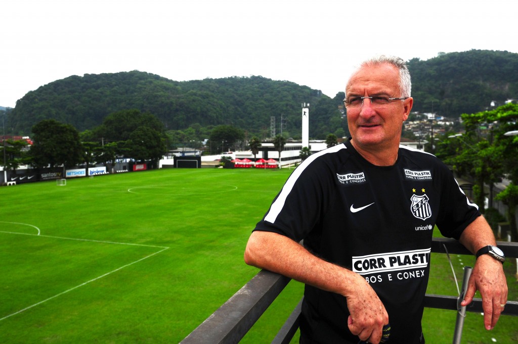 Treinador chegou quando Peixe lutava para se afastar do rebaixamento (Foto:Sergio Barzaghi/Gazeta Press)