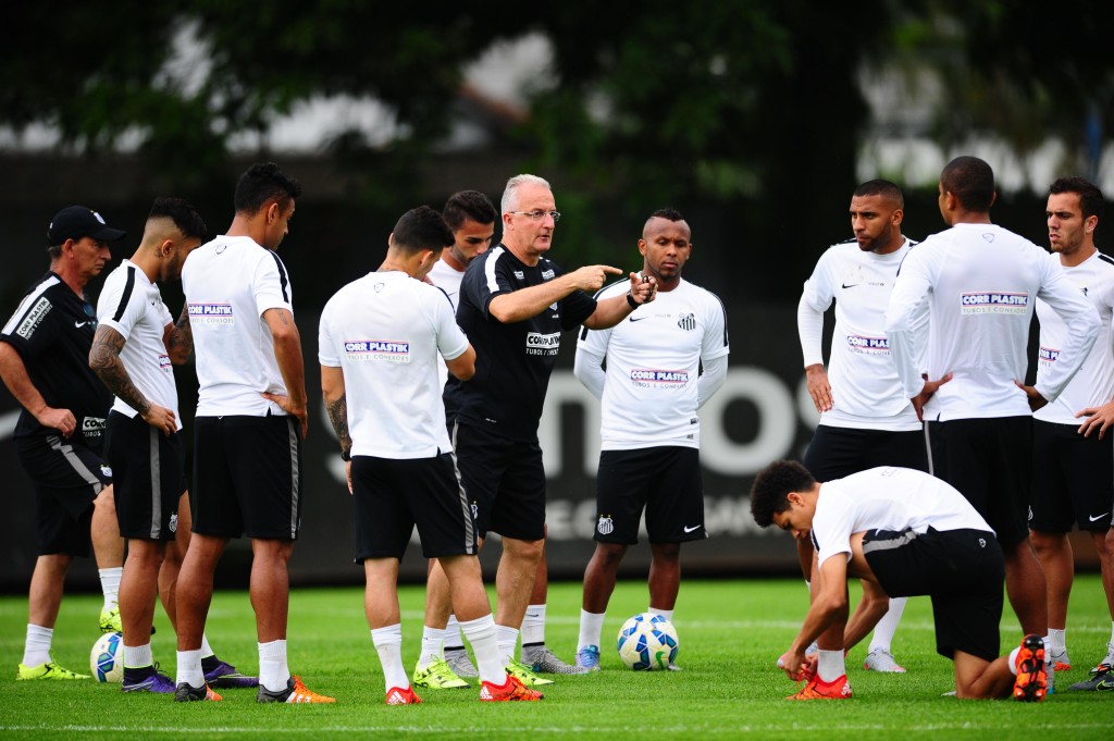 Santos ocupa o G4 do Brasileiro e está na semifinal da Copa do Brasil (Foto:Sergio Barzaghi/Gazeta Press)
