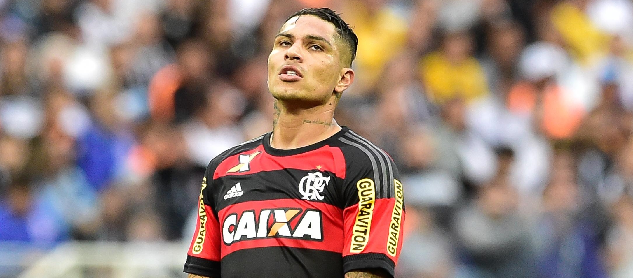 Imagem ilustrativa para a matéria