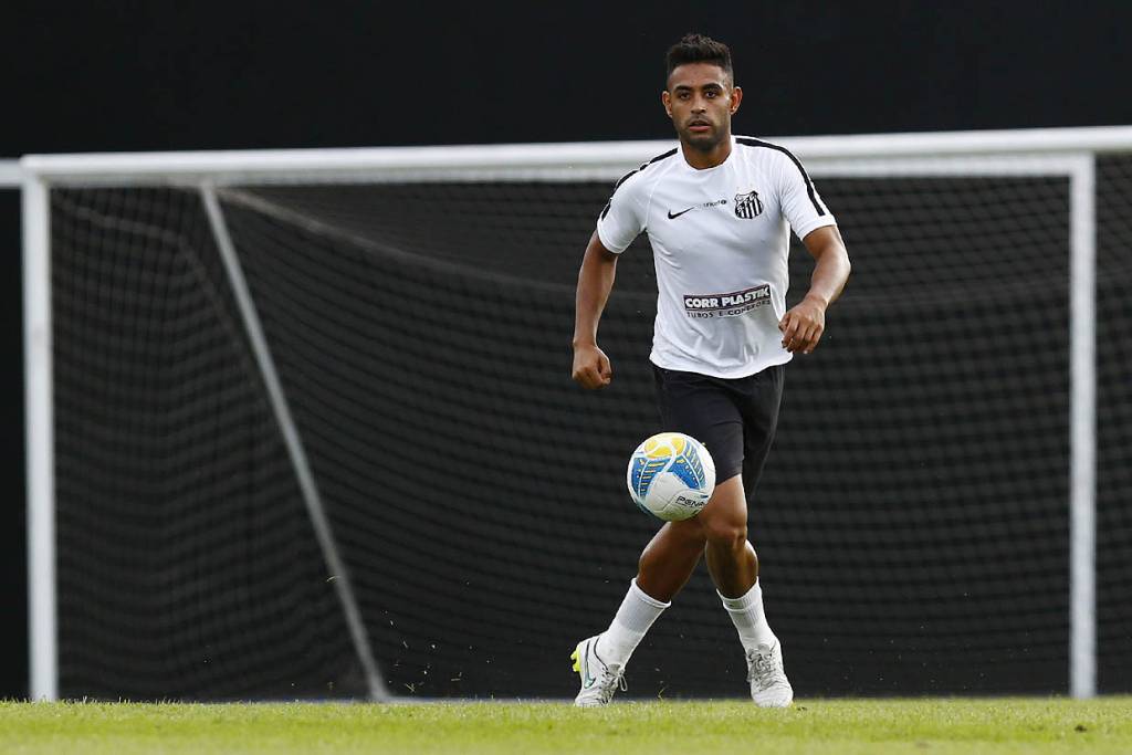 Werley terá de cumprir mais dois jogos de suspensão, mas conseguiu o efeito suspensivo (Foto: Ricardo Saibun
