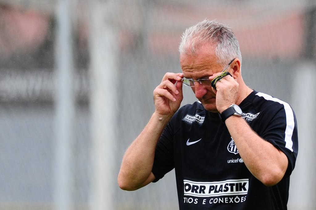 Dorival Júnior assumiu o Santos na zona de rebaixamento do Campeonato Brasileiro (Foto: Sergio Barzaghi)