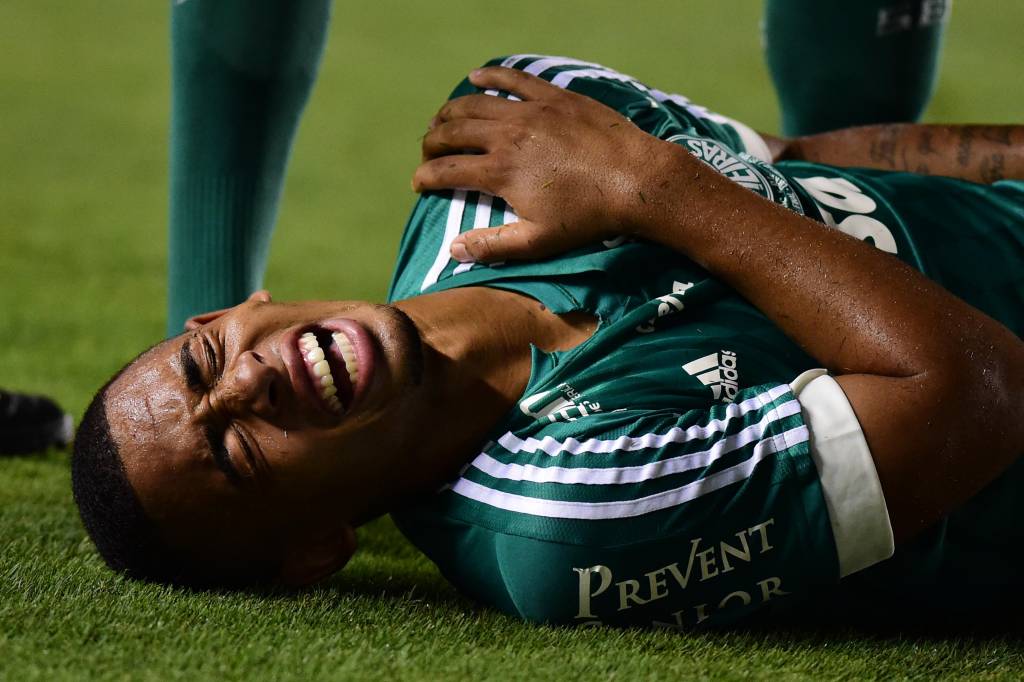 O susto no ombro esquerdo de Gabriel Jesus não deve resultar em desfalque para o Palmeiras no Palestra (foto: Sergio Barzaghi/Gazeta Press)