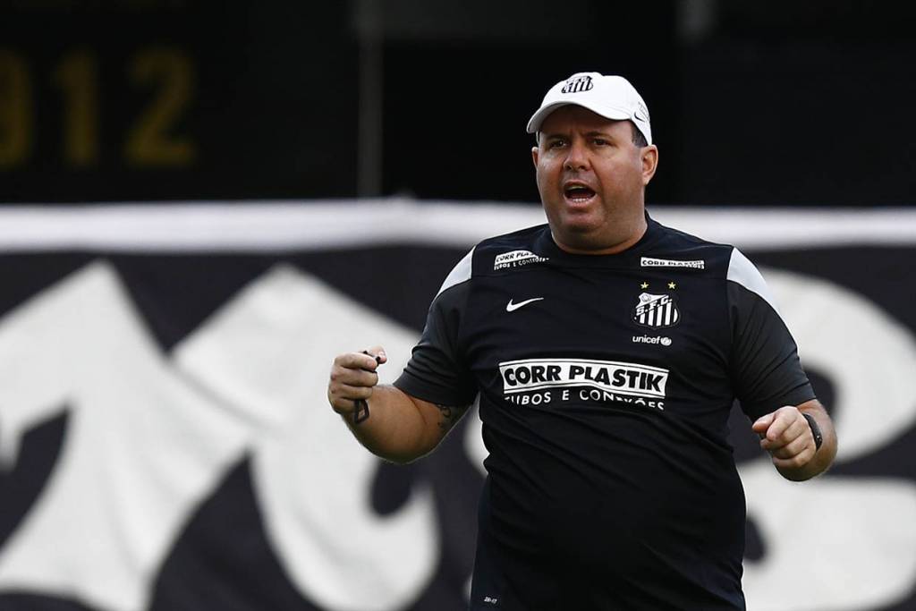 No comando do Santos, Marcelo Fernandes tem 13 vitórias, sete empates e nove derrotas (foto: Ricardo Saibun) 