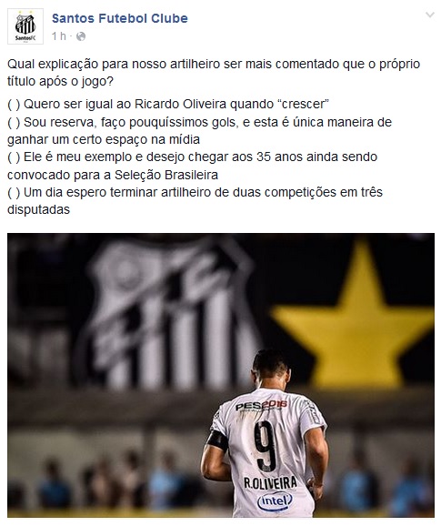 O Santos não perdoou as provocações do Palmeiras e respondeu no Facebook (Foto: Reprodução)