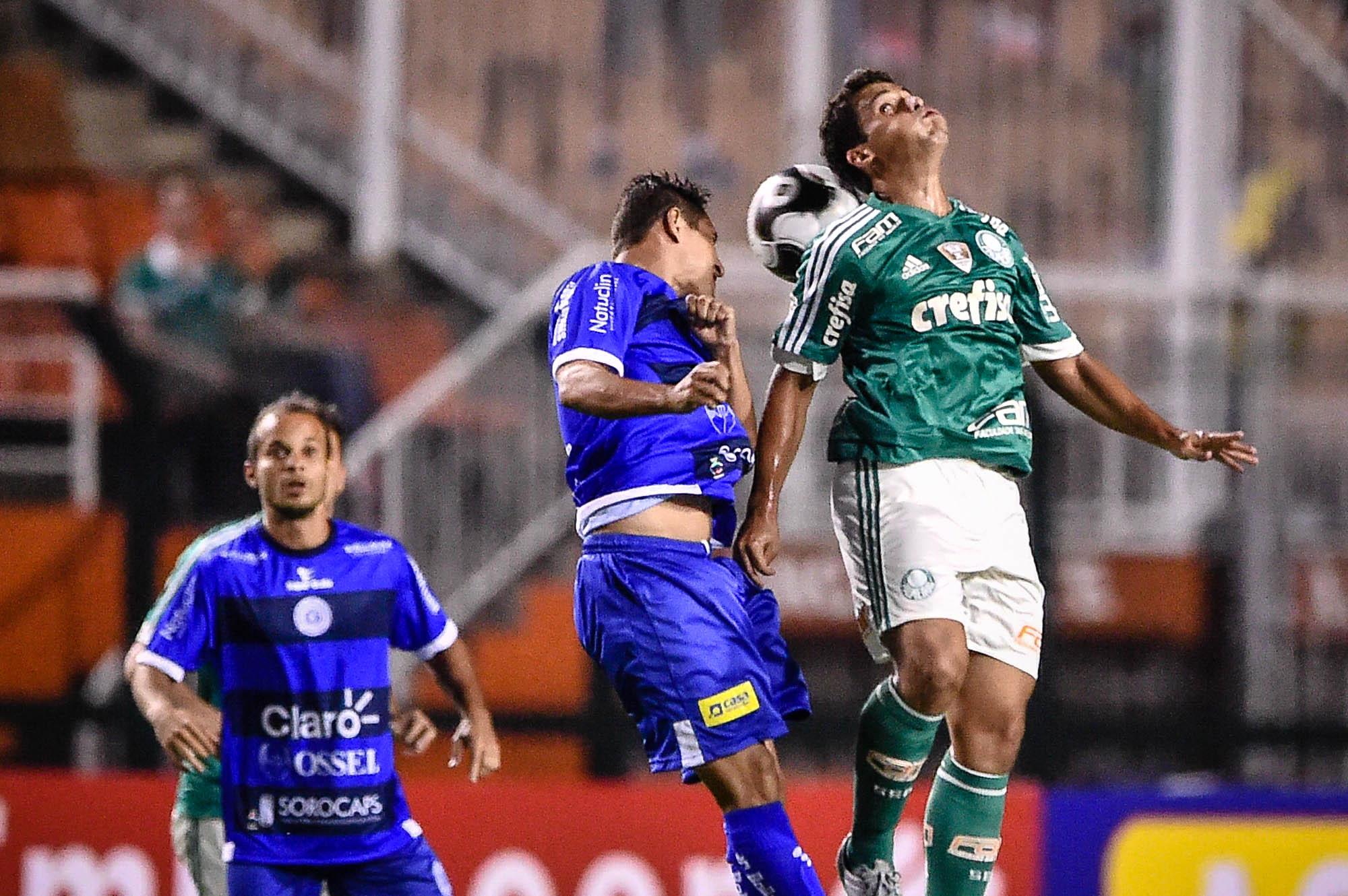 Imagem ilustrativa para a matéria