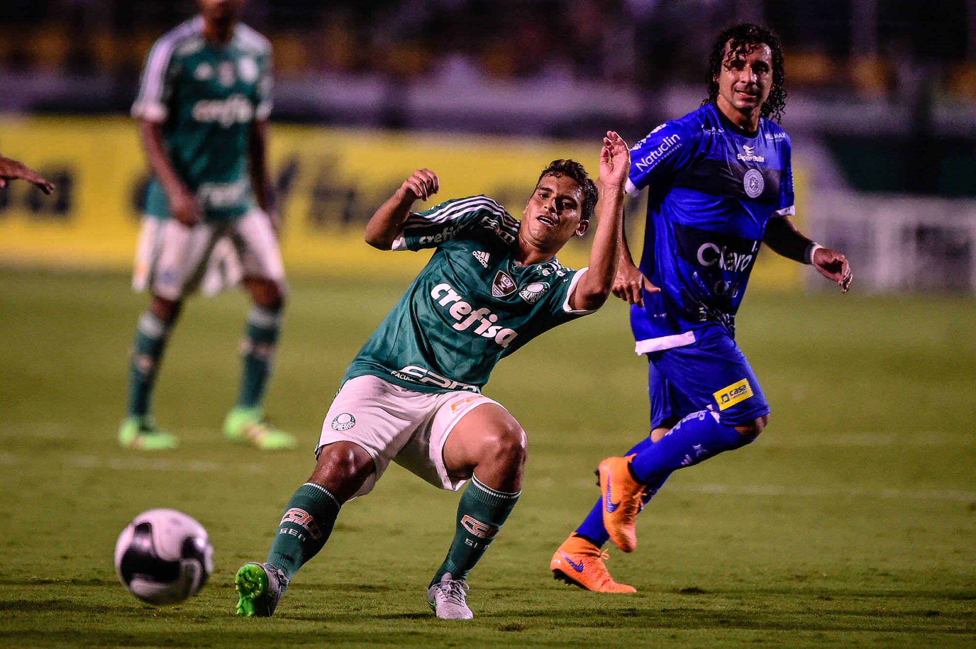 Imagem ilustrativa para a matéria