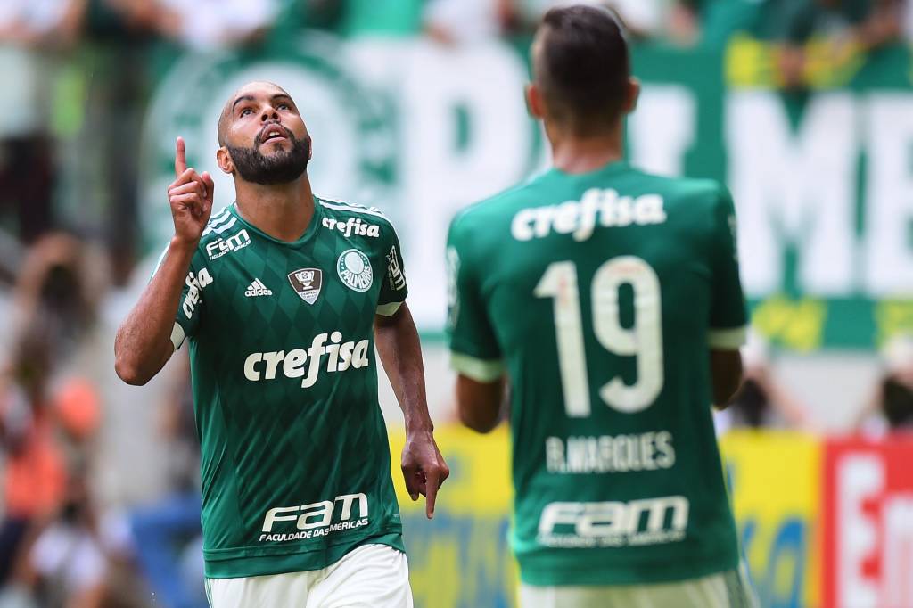 durante Palmeiras X Linense  ,pelo campeonato Paulista ,na arena Palestra Italia , em Sao Paulo,SP 13/02/2016 Foto:Sergio Barzaghi/Gazeta Press