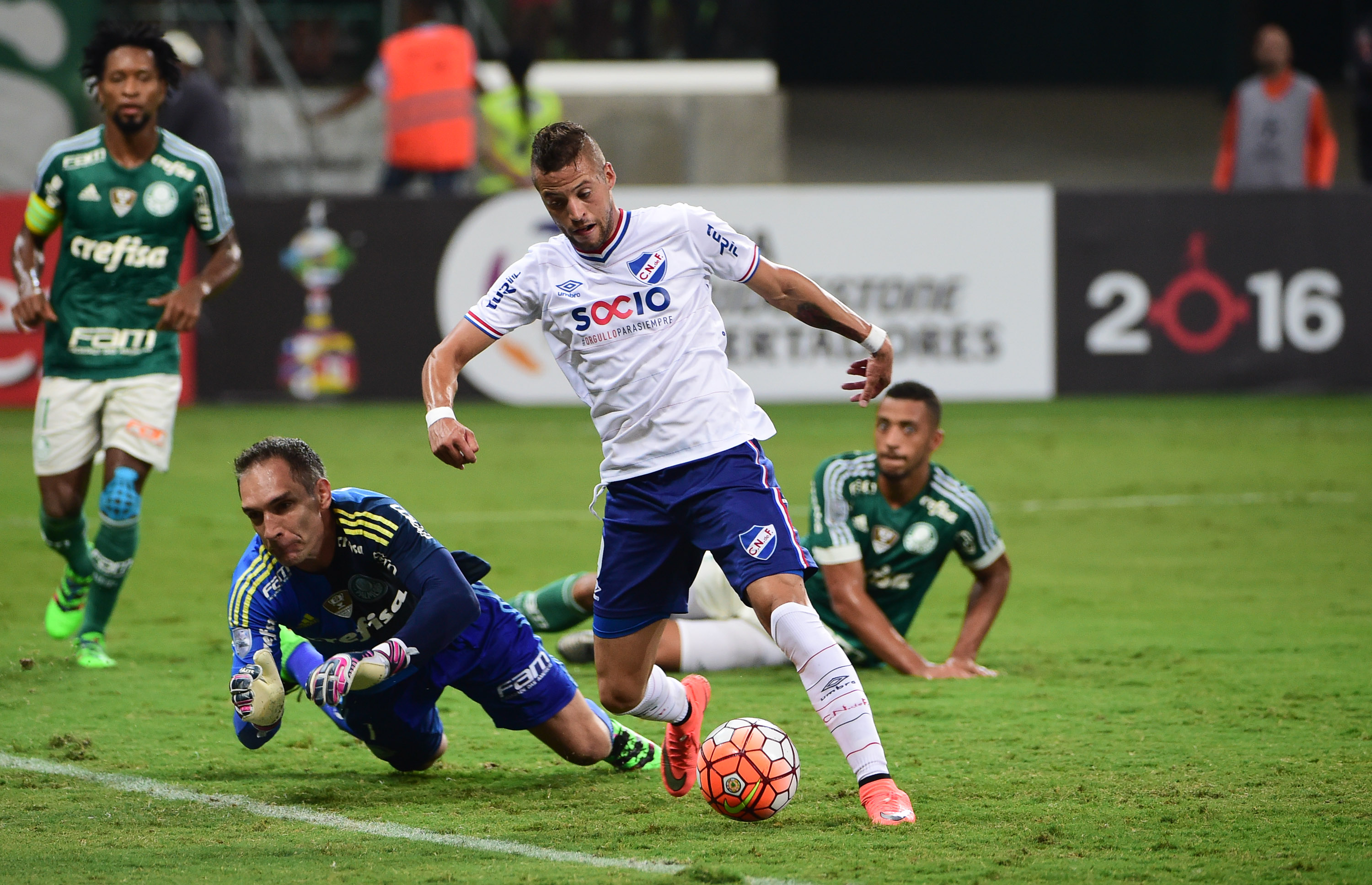 Imagem ilustrativa para a matéria