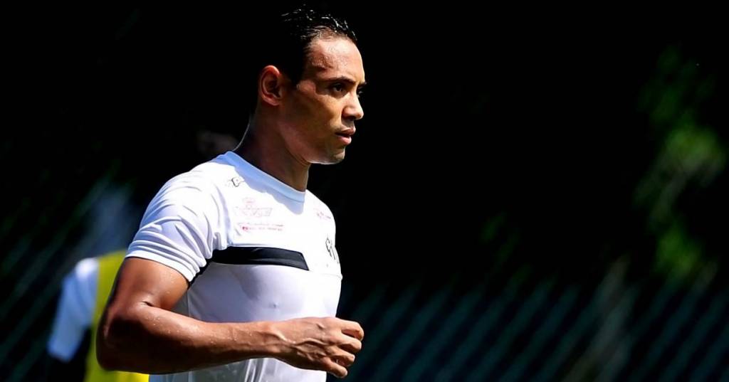 Ricardo Oliveira volta ao time do Santos (Foto: Ivan Storti / Santos FC)