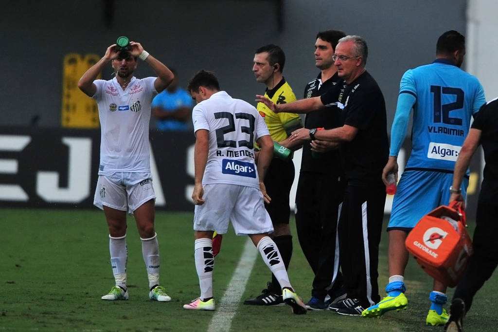 Dorival colocou Ronaldo Mendes no lugar de um zagueiro e o jogador marcou o gol da vitória do Peixe (Foto:Ivan Storti)