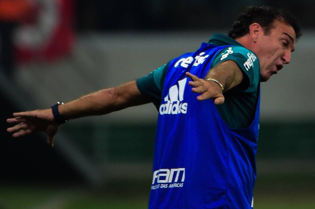 Técnico Cuca lamentou a eliminação precoce do Palmeiras na Copa Libertadores (Foto: Djalma Vassão/Gazeta Press)