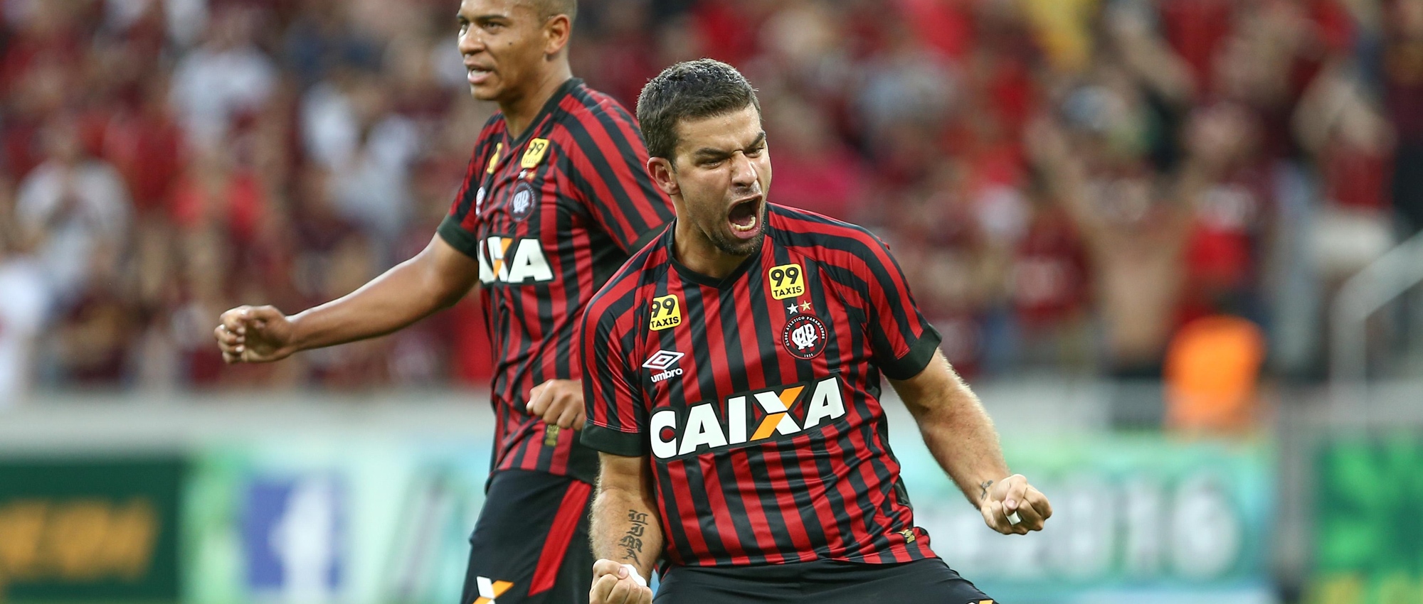 Imagem ilustrativa para a matéria