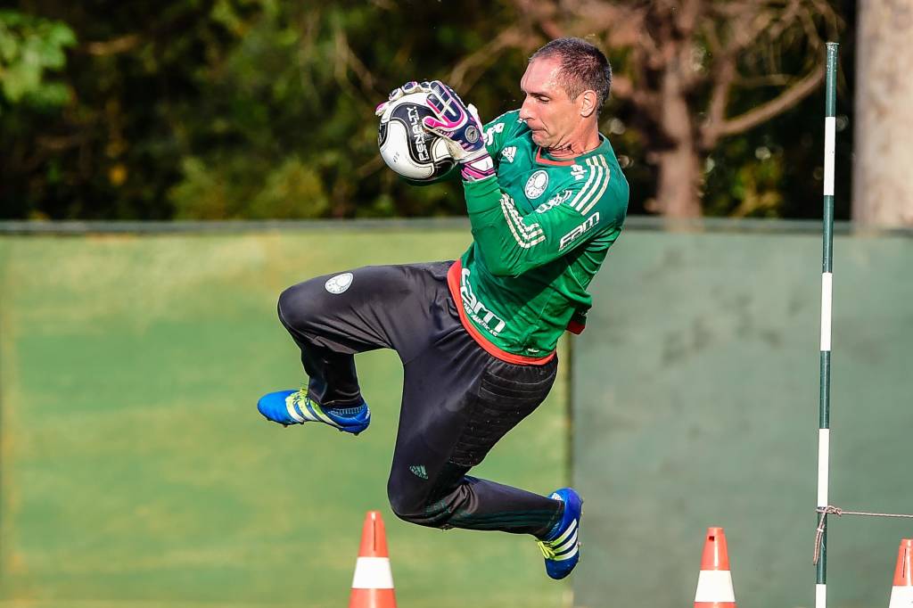 Goleiro Fernando Prass já defendeu dez cobranças de pênalti com a camisa do Palmeiras (Foto: Fernando Dantas/Gazeta Press(