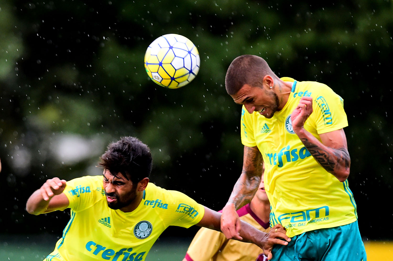 Imagem ilustrativa para a matéria