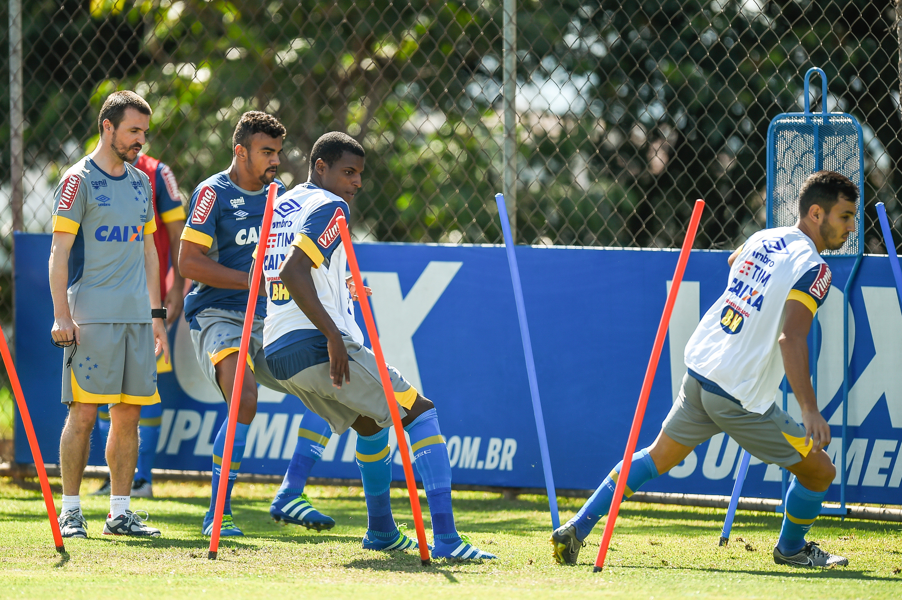 Imagem ilustrativa para a matéria