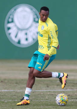 Fabricio treina com os companheiros há 25 dias no Verdão (Foto: Cesar Greco/Fotoarena)