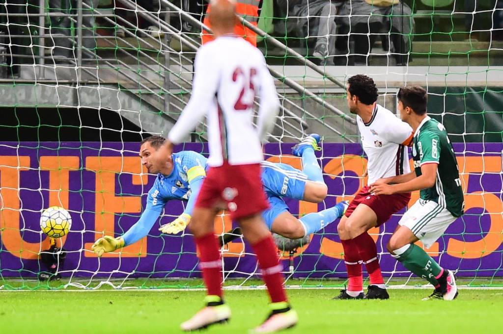 Contra o Fluminense, o goleiro Fernando Prass completou 183 jogos com a camisa palmeirense (Foto: Sergio Barzaghi/Gazeta Press)