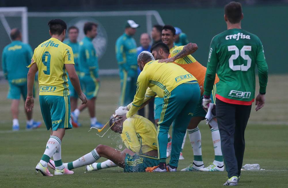 Imagem ilustrativa para a matéria