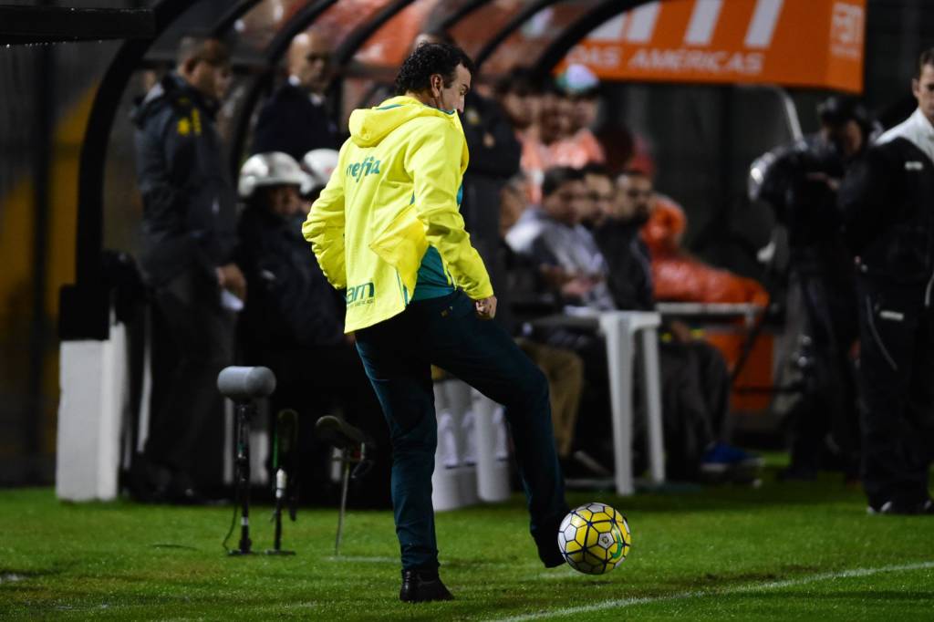 Técnico Cuca poderá trabalhar normalmente contra o Flamengo (Foto: Djalma Vassão/Gazeta Press)